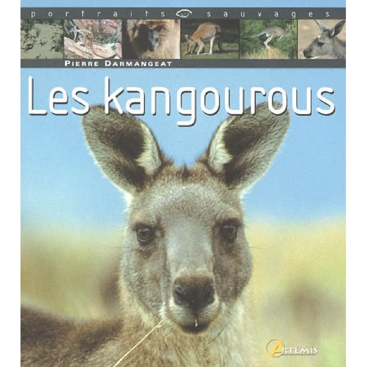 Les kangourous · Occasion
