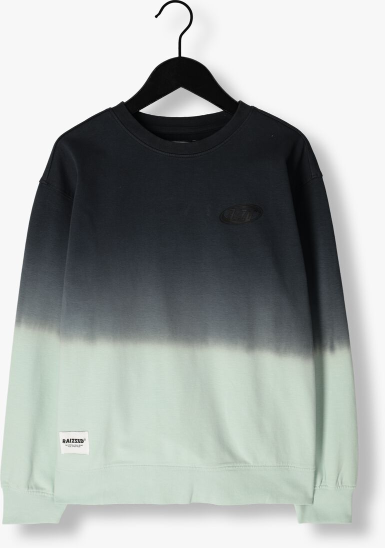 RAIZZED groene raizzed sweater niran
