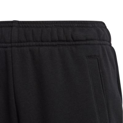 Adidas SportswearEssentials Big Logo Pant - schwarz