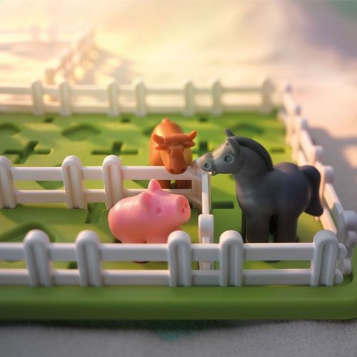 Smart games puzzelspel slimme boer