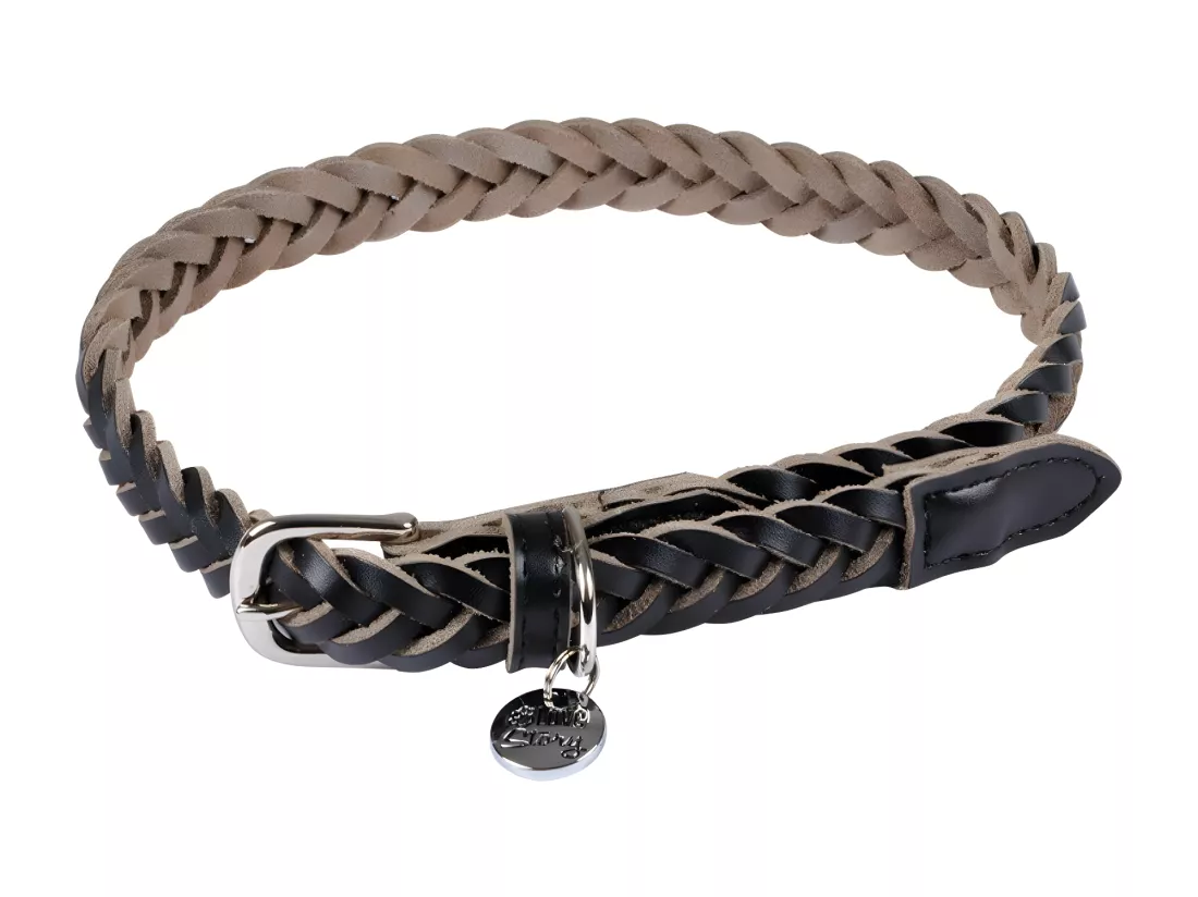 Collier pour Chien Réglable 