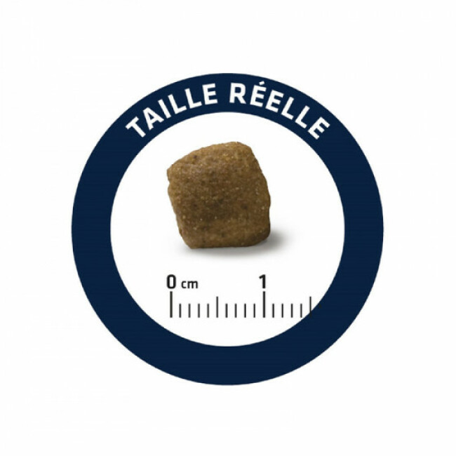 Croquettes Advance Veterinary Diets Articular Senior pour chiens