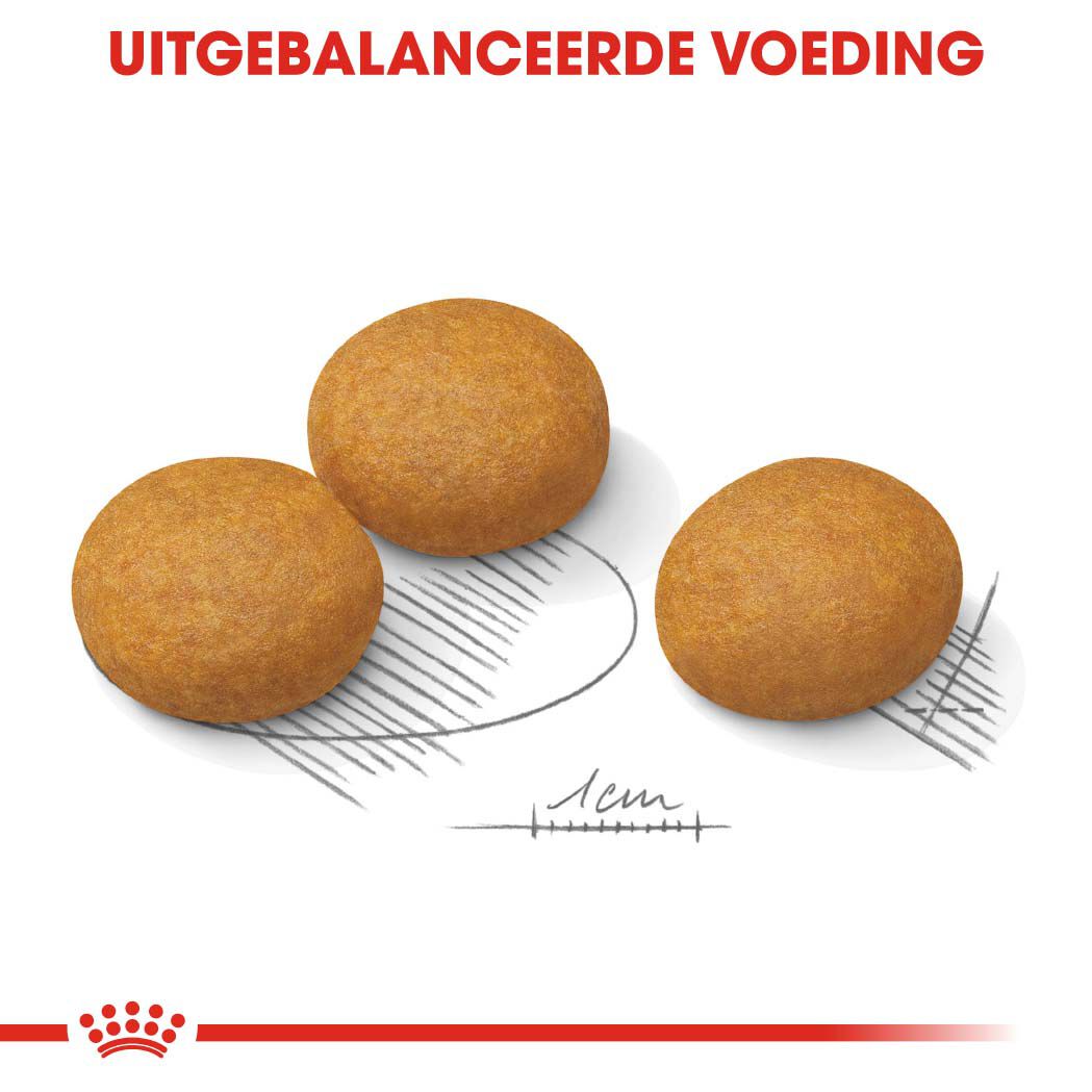 Royal Canin Dermacomfort Maxi Adult - Hondenvoer - 12 Kilogram - gevogelte