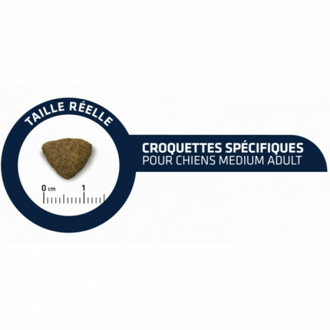 Croquettes Advance Medium Adult pour chiens