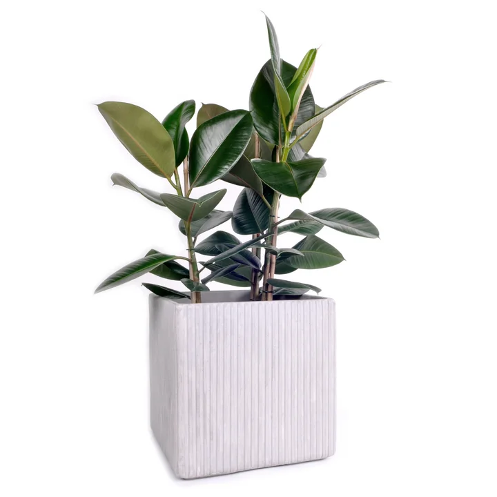 XLBoom - Mon Square Blumentopf S, grau