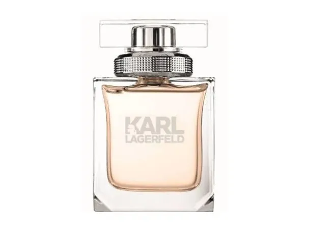 Karl Lagerfeld Karl Lagerfeld for Her Eau De Parfum 45 ml (kvinde)