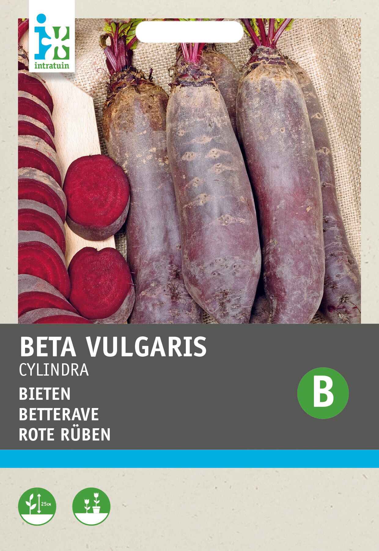 Intratuin groentezaad Bieten halflange (Beta vulgaris 'Cylindra')