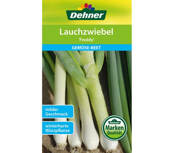 Dehner Samen Lauchzwiebel 'Freddy'