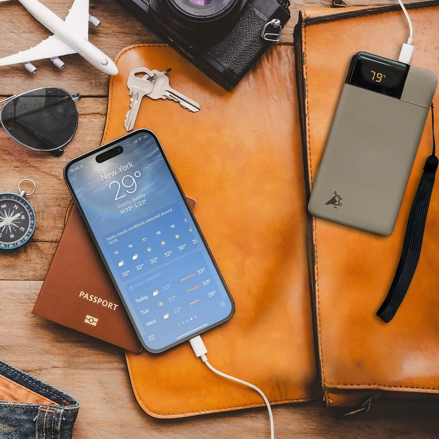 Aqiila Powerbird B10 10000 mAh 20W