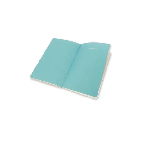 Moleskine Chapter-Notizheft olive, Punktraster, Slim Pocket