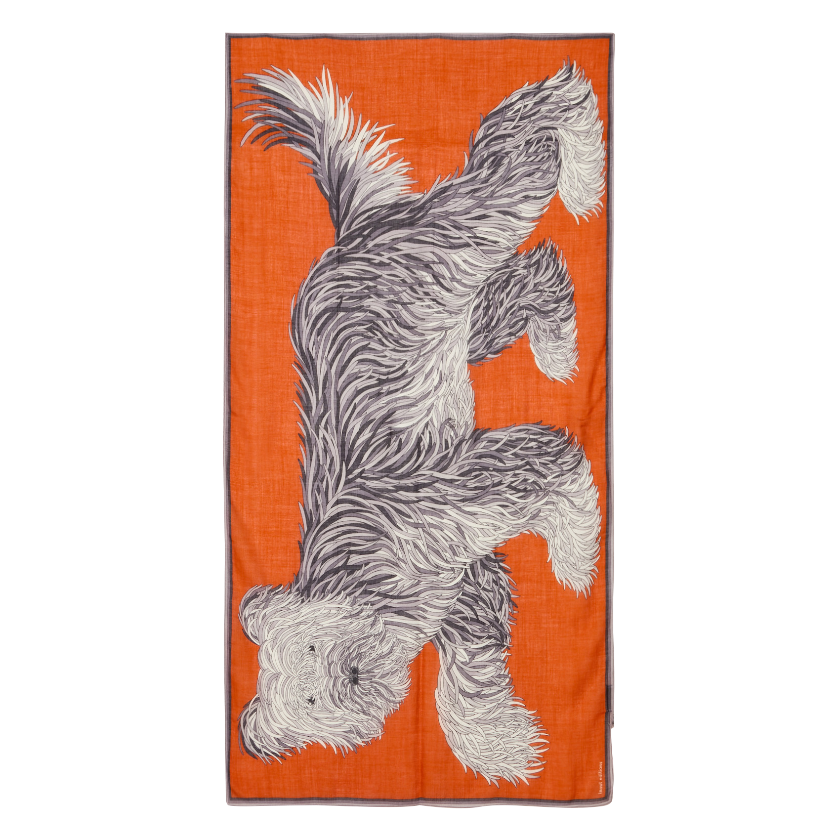 FREDDY - Foulard en laine imprimé | Orange