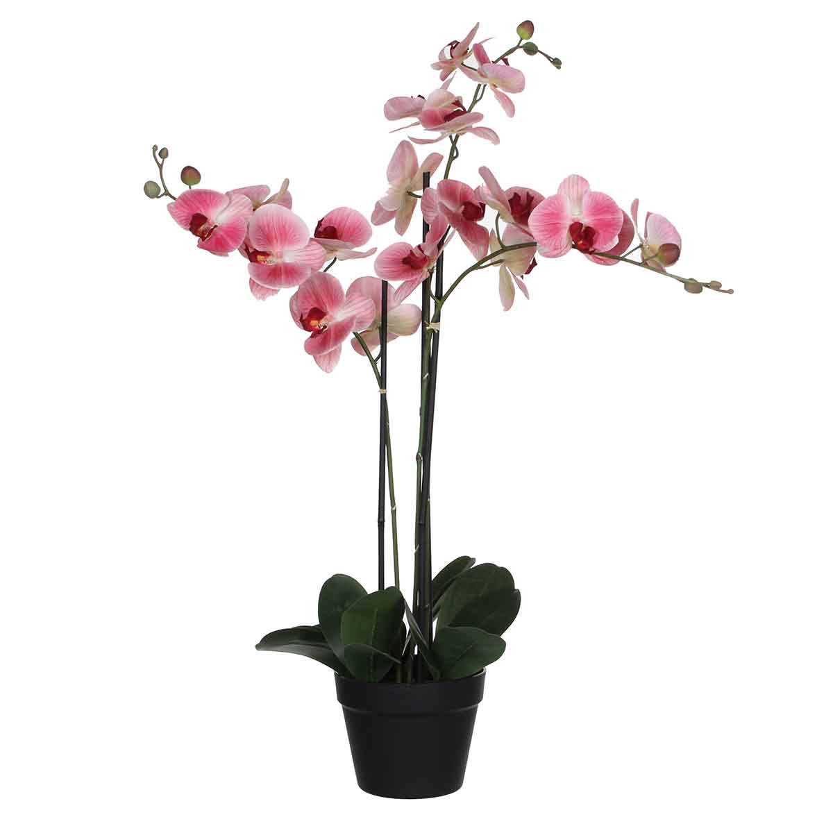 Mica decorations fleur artificielle phalaenopsis - 75x51x79 cm - pe - rose