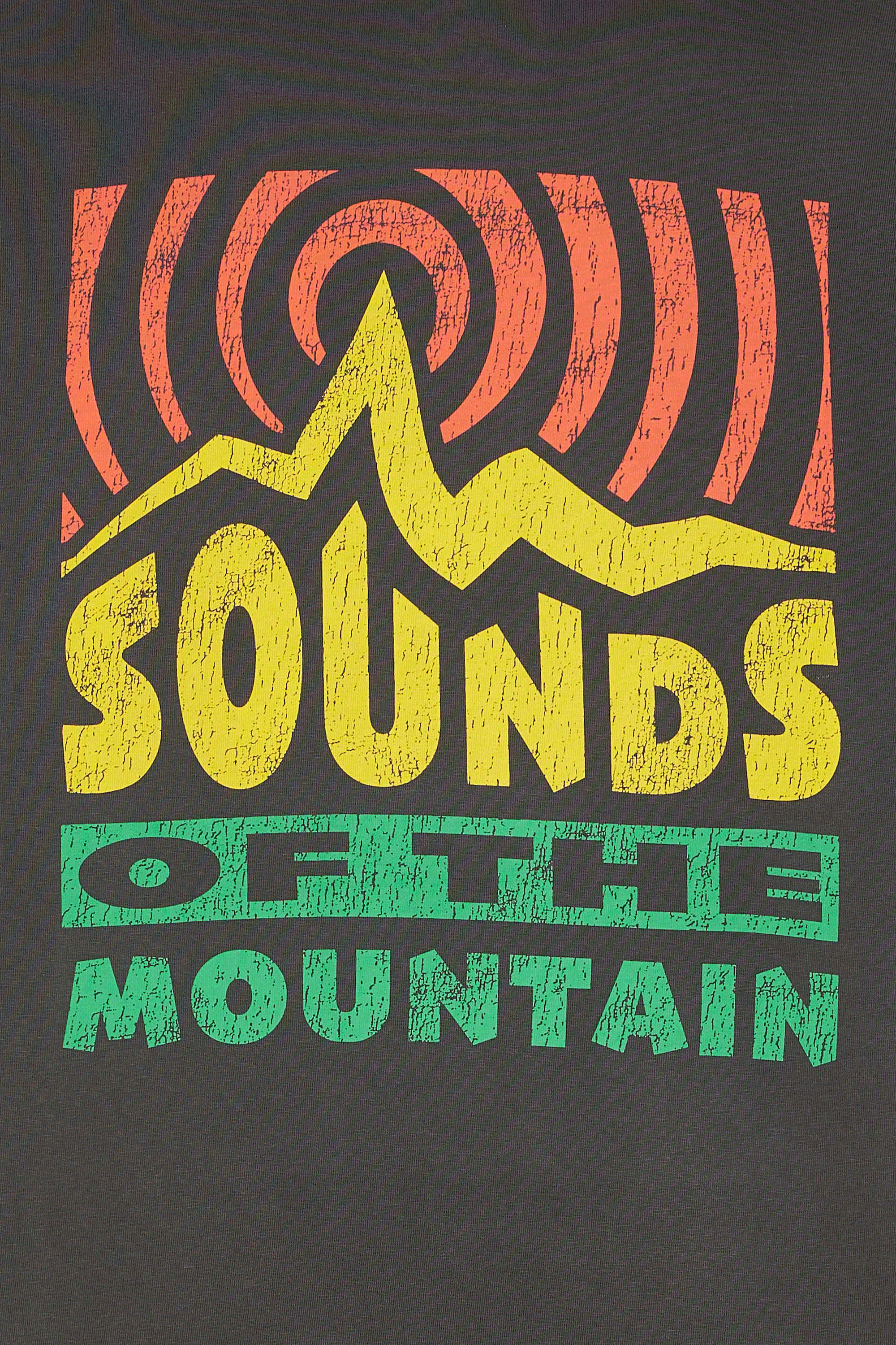 ELEMENT T-shirt SOUNDS OF THE MOUTAINS Noir