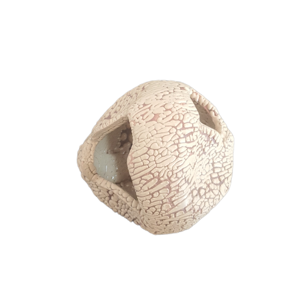 Décoration boulet 8 cm avec cachettes pour petit poisson