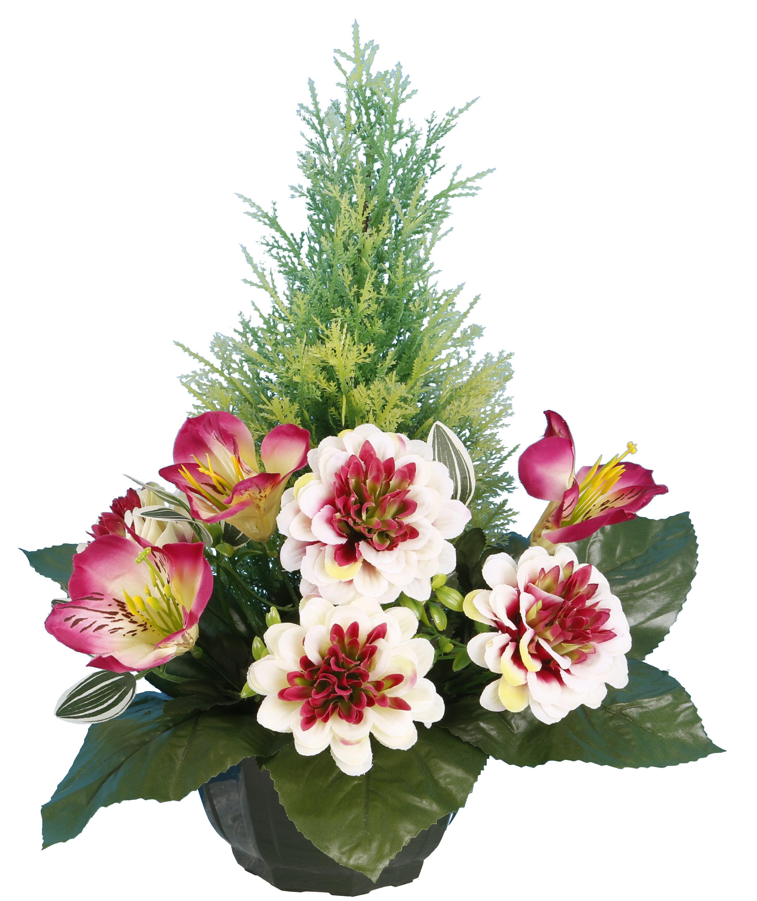 COUPE ZINNIAS ORCHIDEES TUYAS