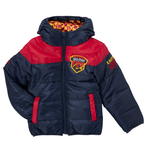 TEAM HEROES  - DOUDOUNE HARRY POTTER - Multicolore