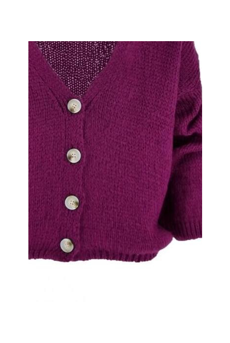 FOS Amsterdam paarse dames vest