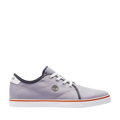 TimberlandSkape Park Oxford Basic - grau