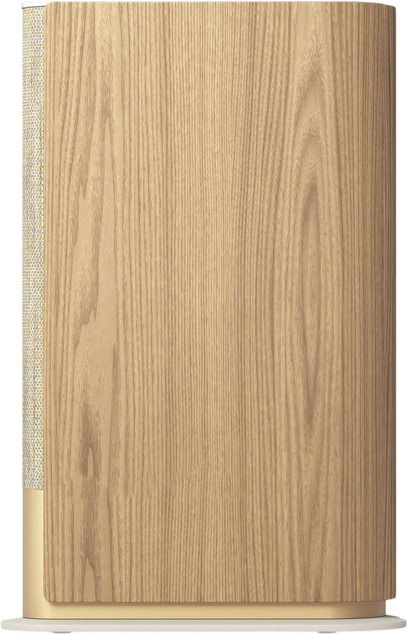 Bang & Olufsen Beosound Emerge Gold Tone