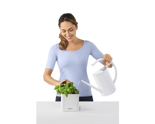 Lechuza Cube Color kunststof bloempot, 14x14x14 cm, wit, inclusief zelfbewateringssysteem en waterniveau-indicator
