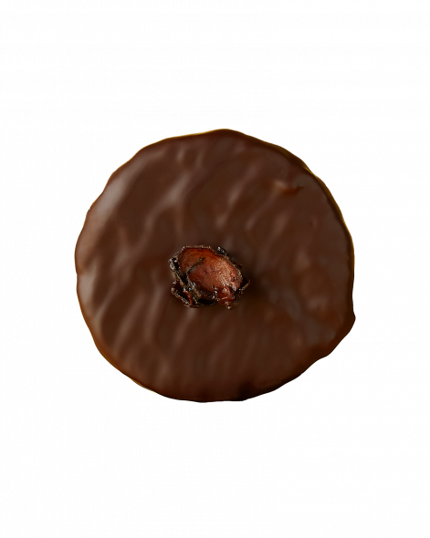 Palet Chocolat Grand Cru Pérou--Palet Grand Cru