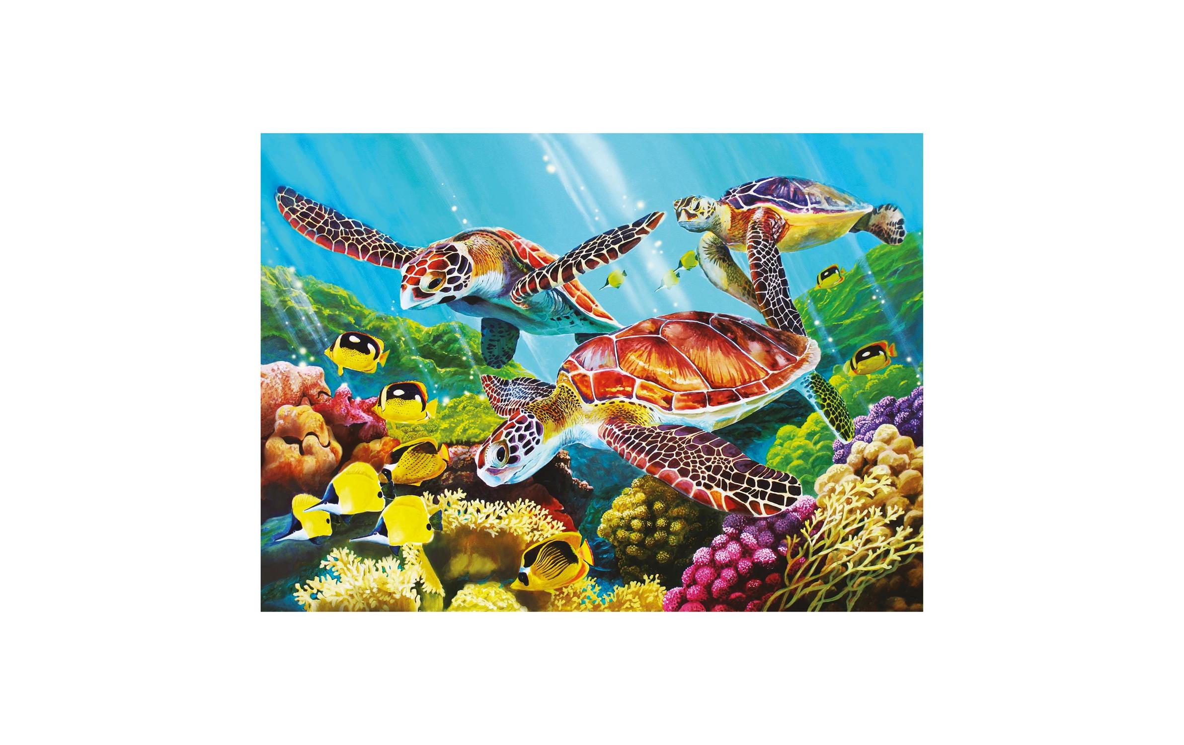 Puzzle Molokini Strömung 350 TeileSpiel für die ganze Familie