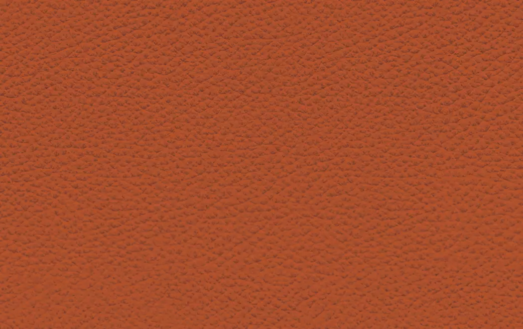 Sessel 582 Meg