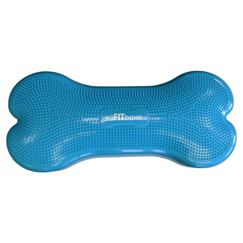 Plate-forme d'équilibre d'animaux giant k9fitbone pvc aqua