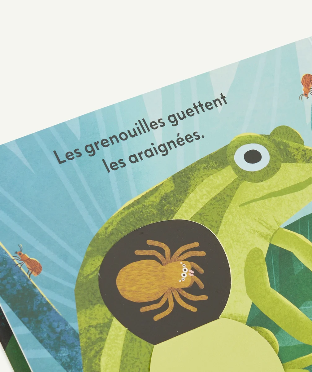 KIMANEQUI MANGE QUI DANS LA NATURE ?