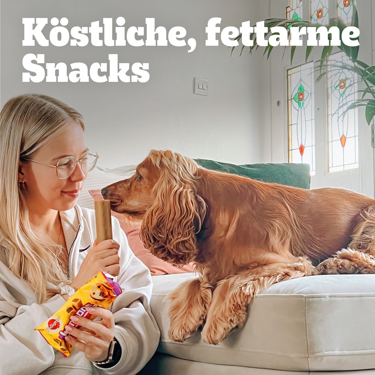 Pedigree Jumbone Riesenknochen mit Rind und Geflügel 12x 2 Stück