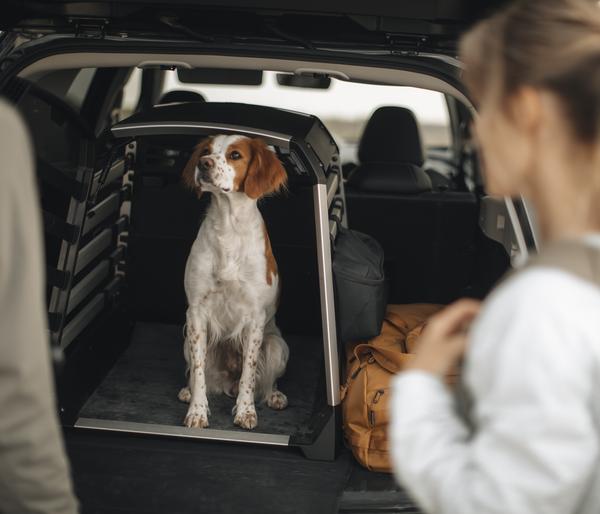 THULE® Bodenmatte Dog Crate Mat Standard, ca.