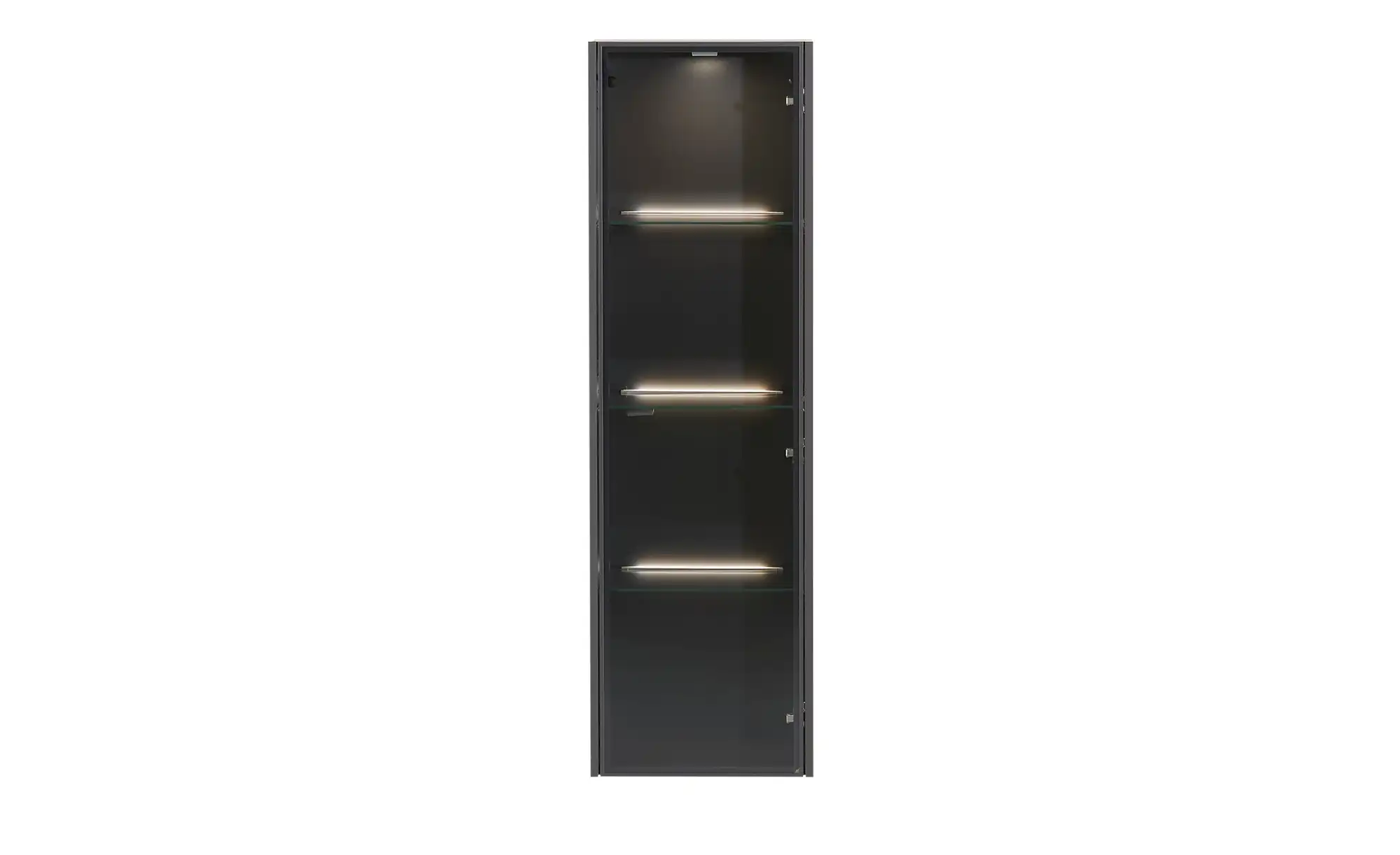 Hängevitrine Light Line 10