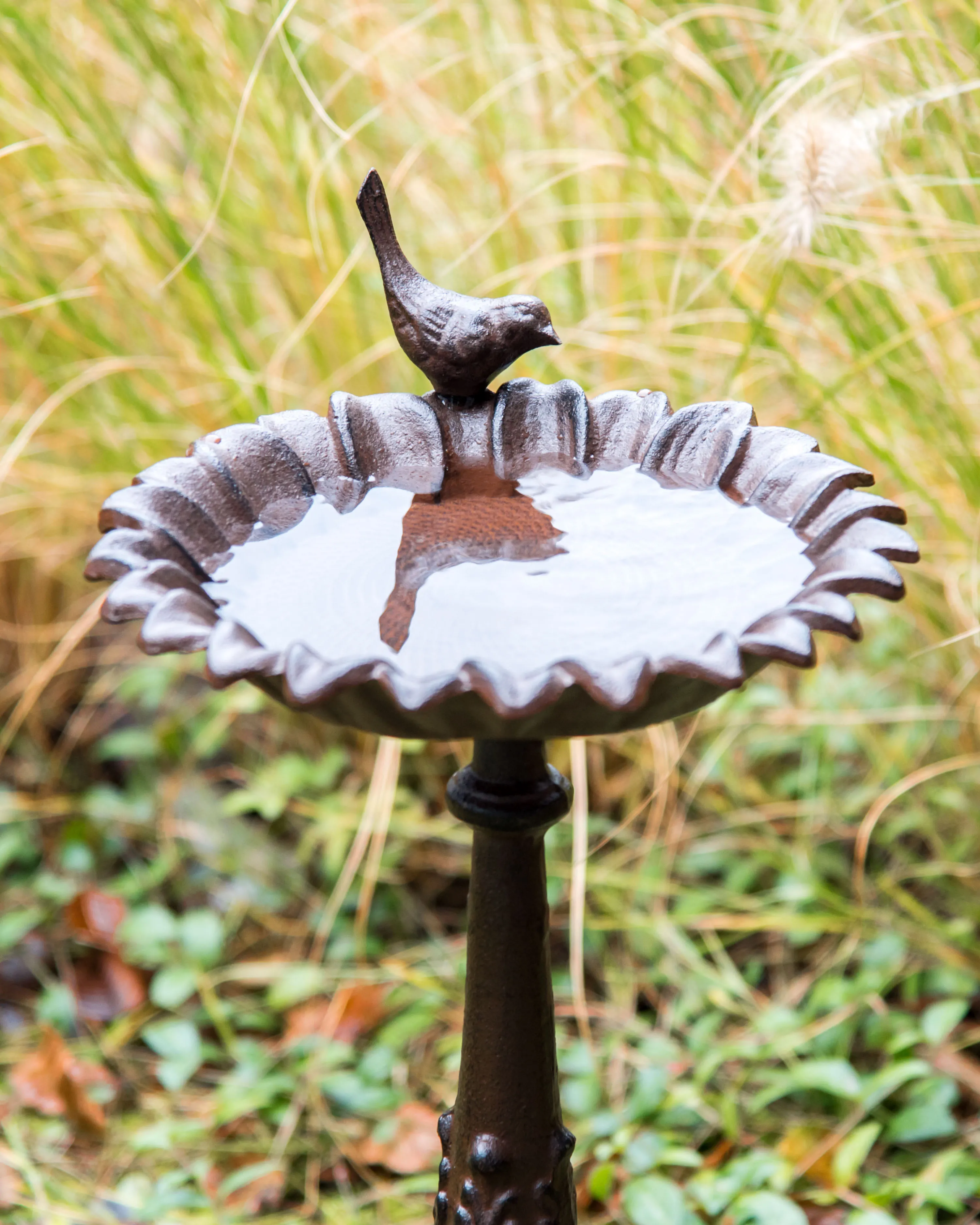 Vogelbad BLACKBIRD Bruin