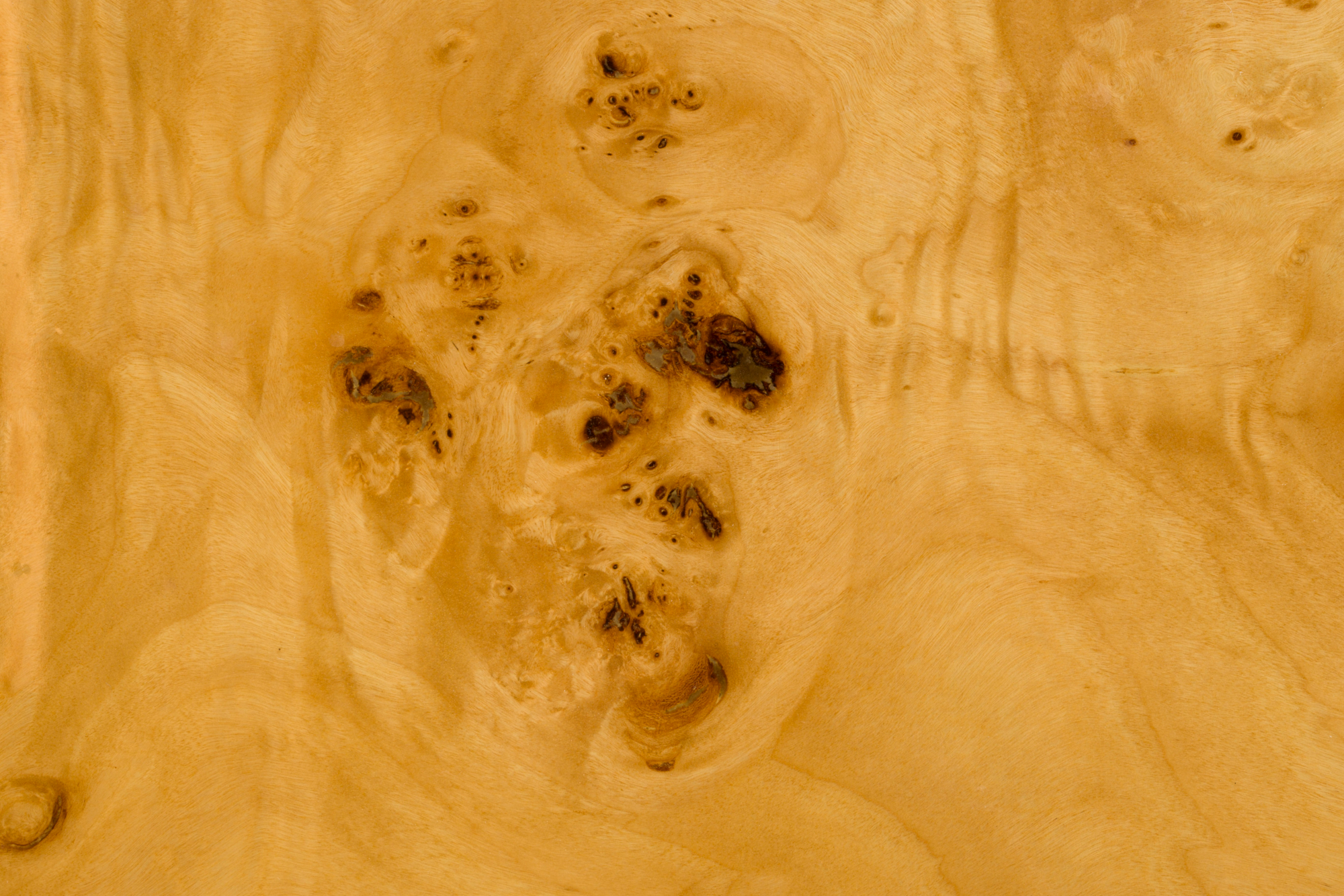 Coffee Table Quinn Natural