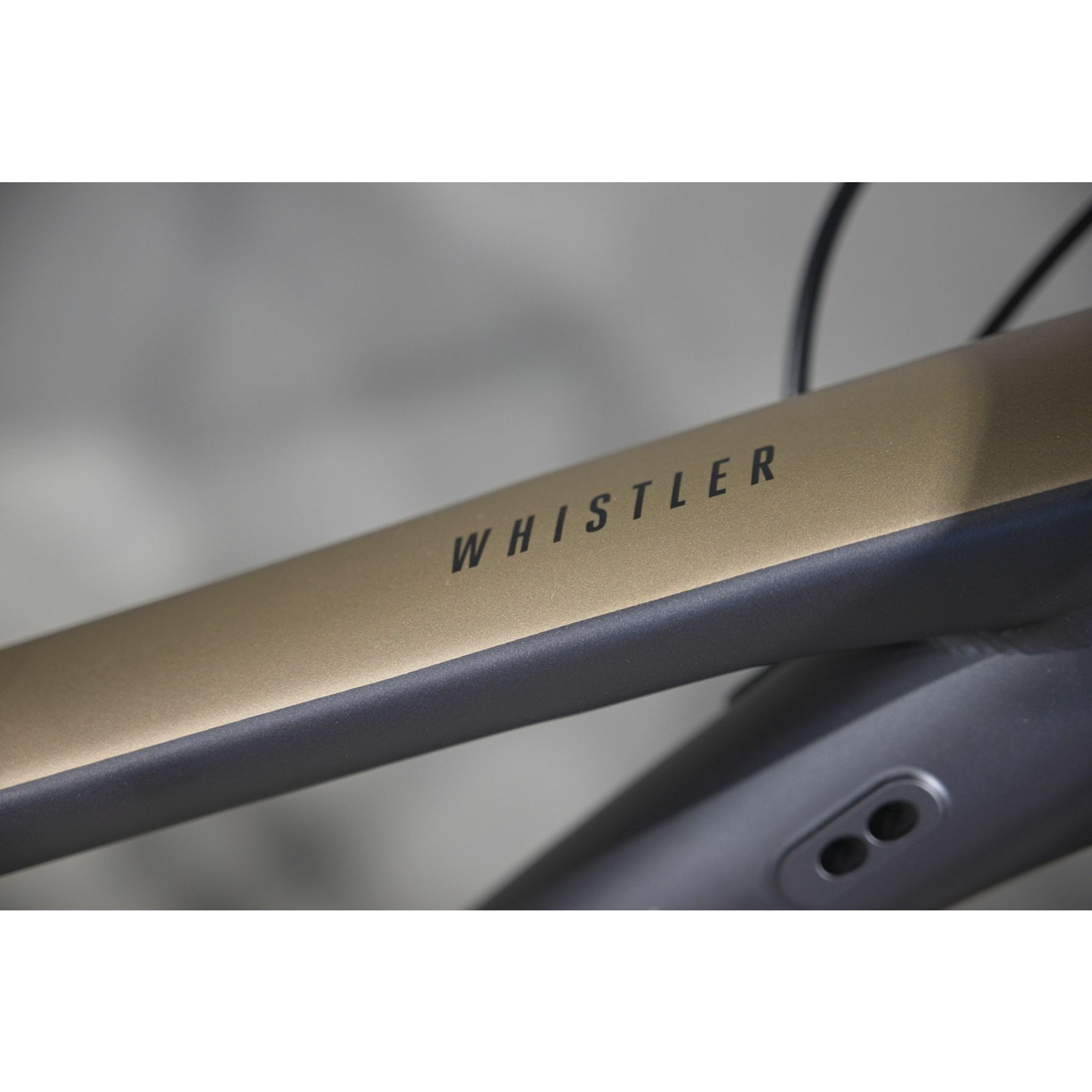 Focus Whistler 3.9 2025