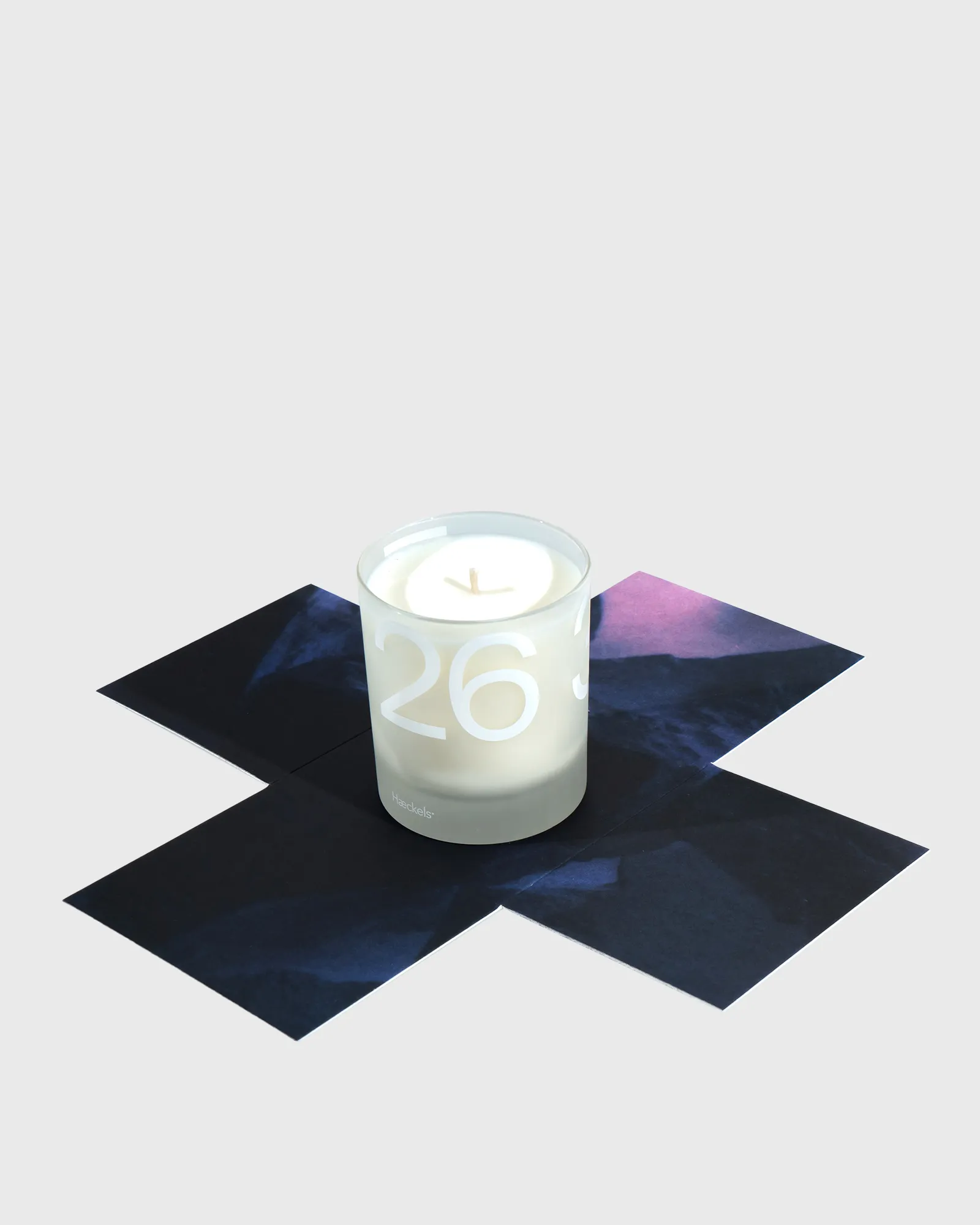 Haeckels Botany Candle - 240 ml