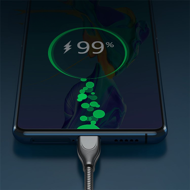 (2m) 100W USB C auf USB C Ladekabel Datenkabel mit Stahlummantelung - Silber