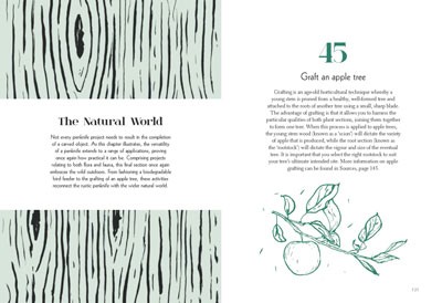 50 Things to Do with a Penknife: The Whittler's Guide to Life (Hardback)