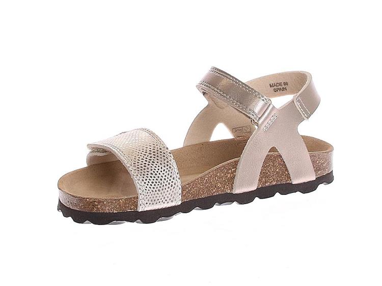 Chili Maddalena 2 Brons