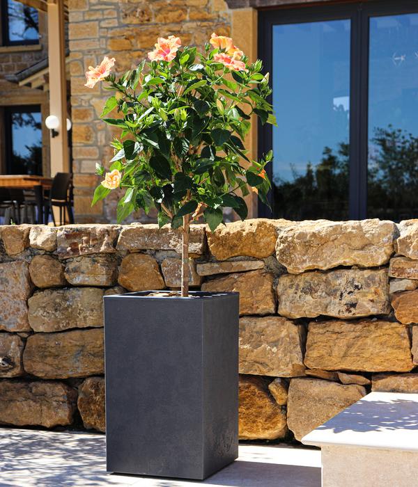 EDA Kunststoff-Topf Basalt Up, quadratisch,