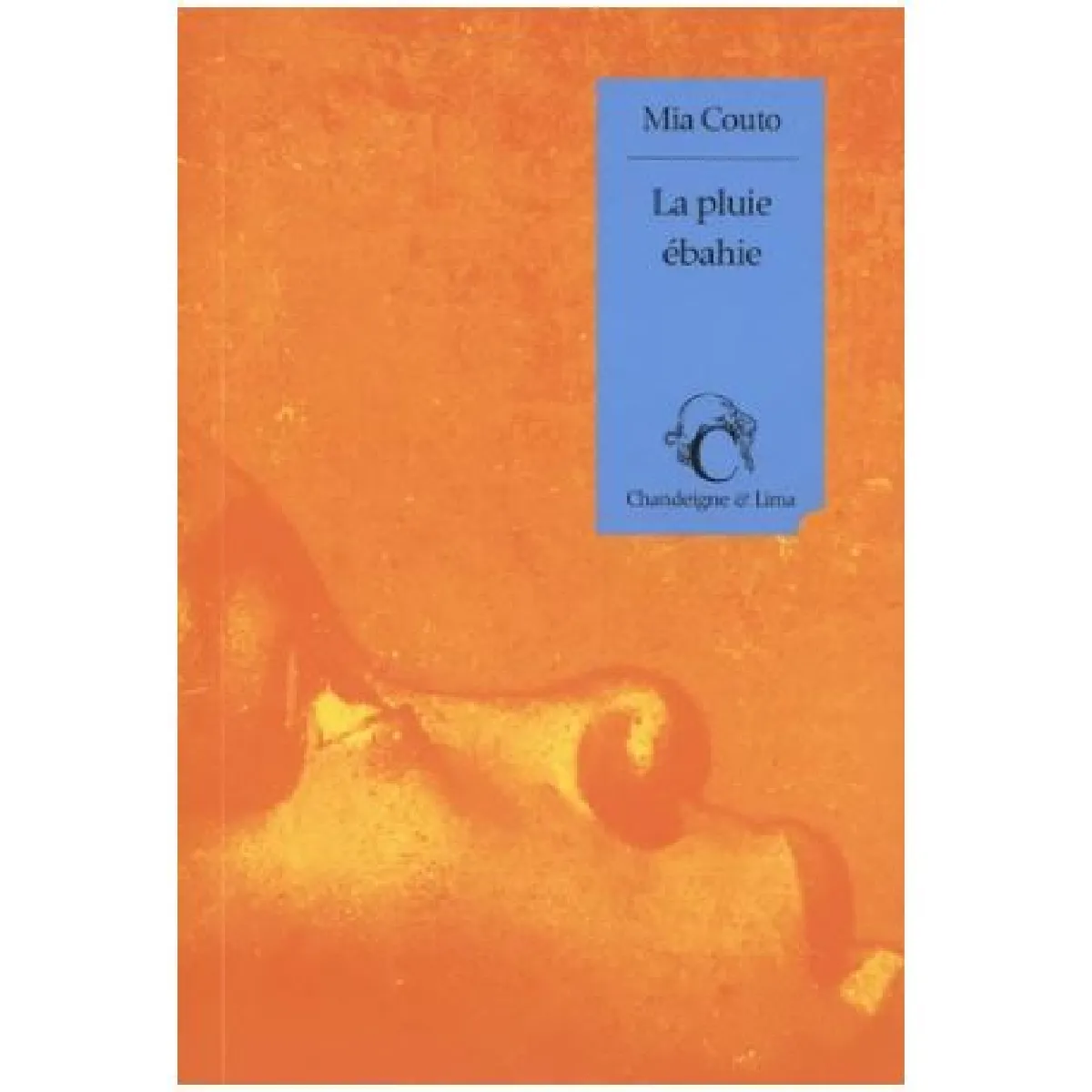 La pluie ébahie · Occasion