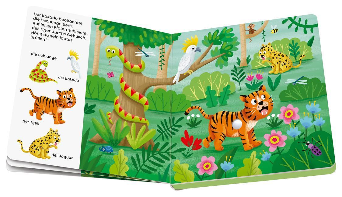 Ravensburger, play+ Mein allererstes Soundbuch: Im Dschungel (Sachen suchen und hören)