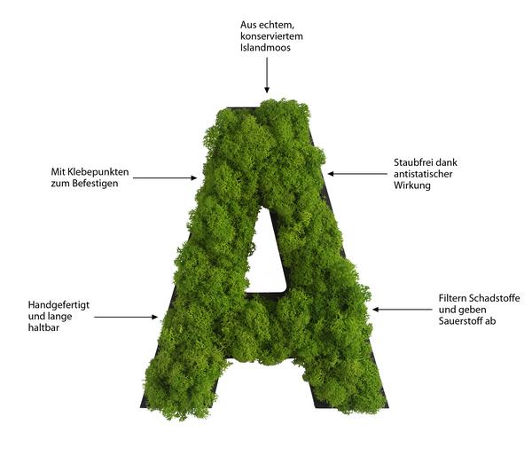 styleGREEN Buchstaben aus Islandmoos, ca. H25