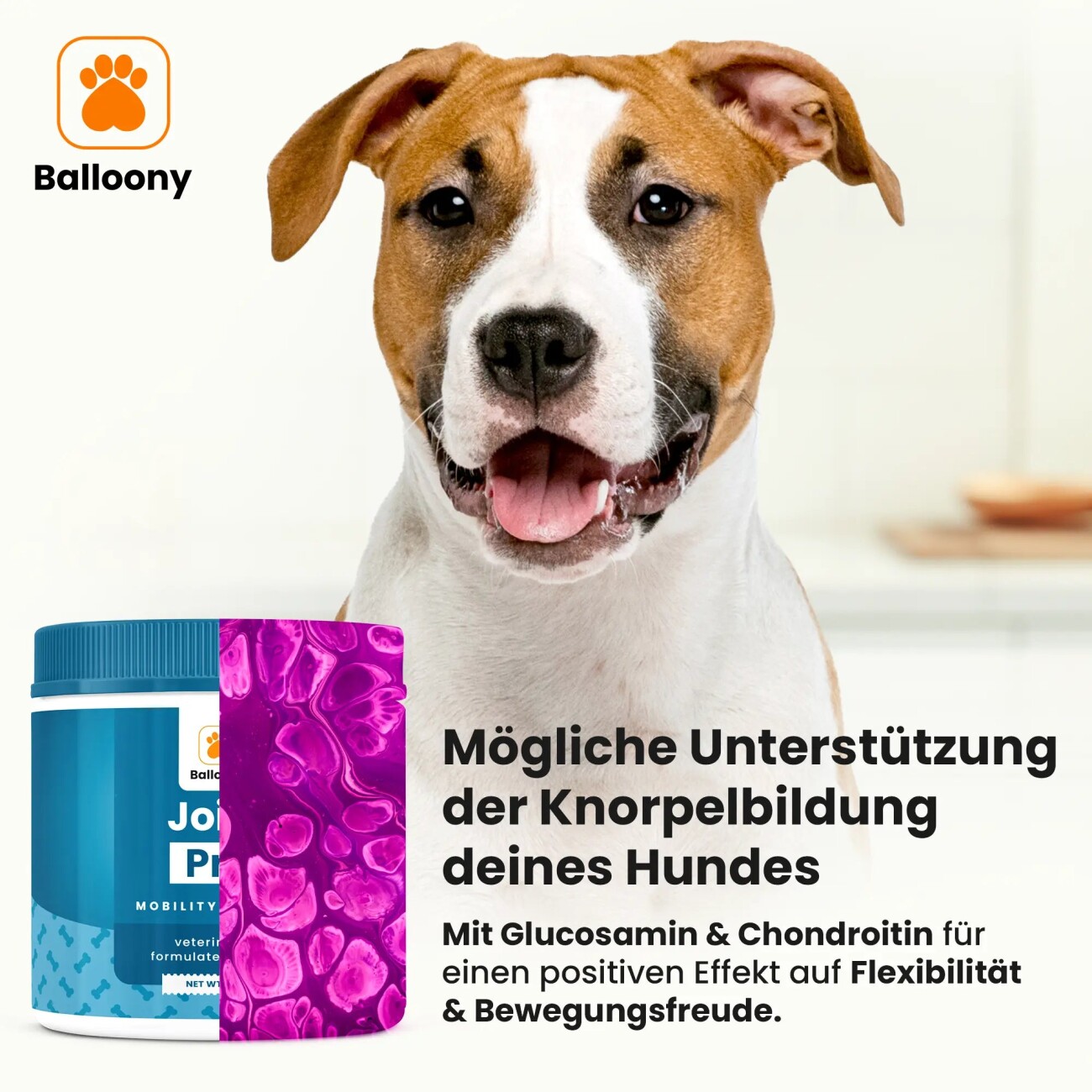 Balloony.pet German Shephy Gelenkpulver Joint Pro 200 g