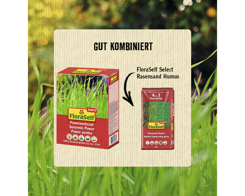 FloraSelf Select Power doorzaai- en reparatiegazonzaad, gecoat, 0,5 kg / 15 m² DE/NL/SE