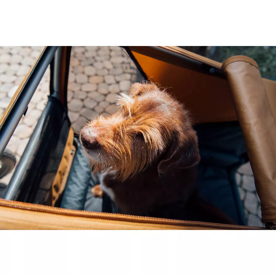 CROOZER Hundefahrradanhänger Dog Mikke Moss green inklusive Hundebett Asphalt grey