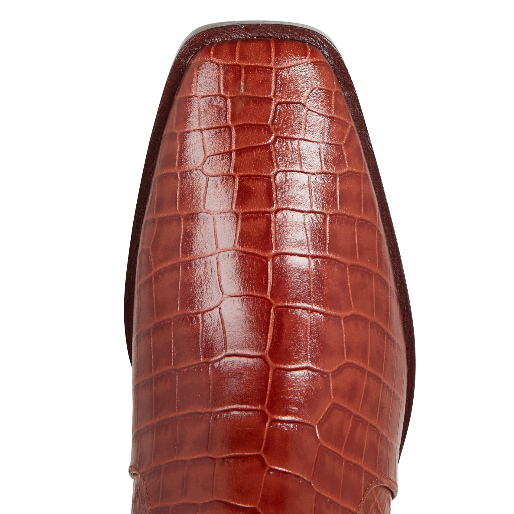 CROUSTY COCO - Bottines en cuir croco | Marron