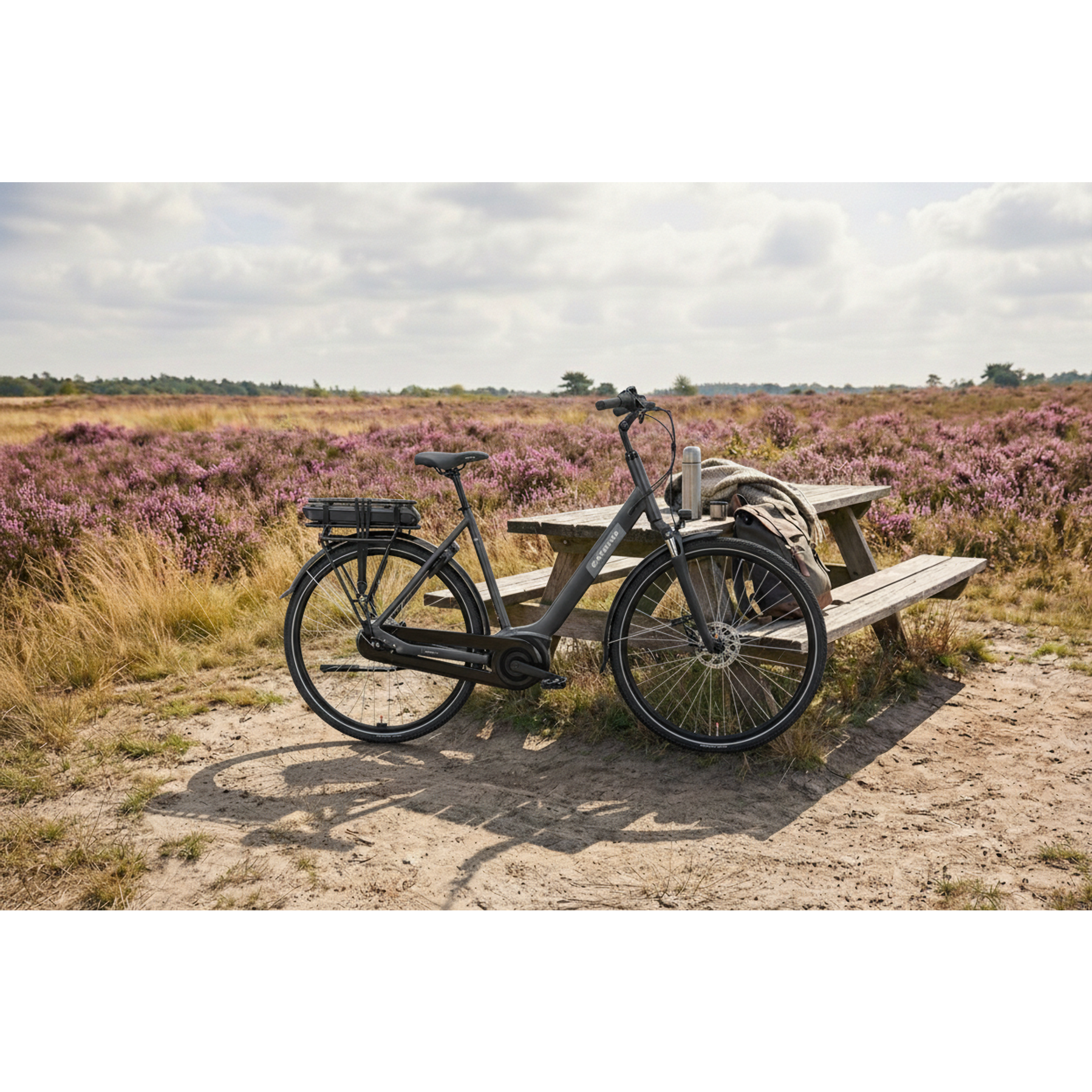 Batavus Altura E-Go Plus Smart 2026