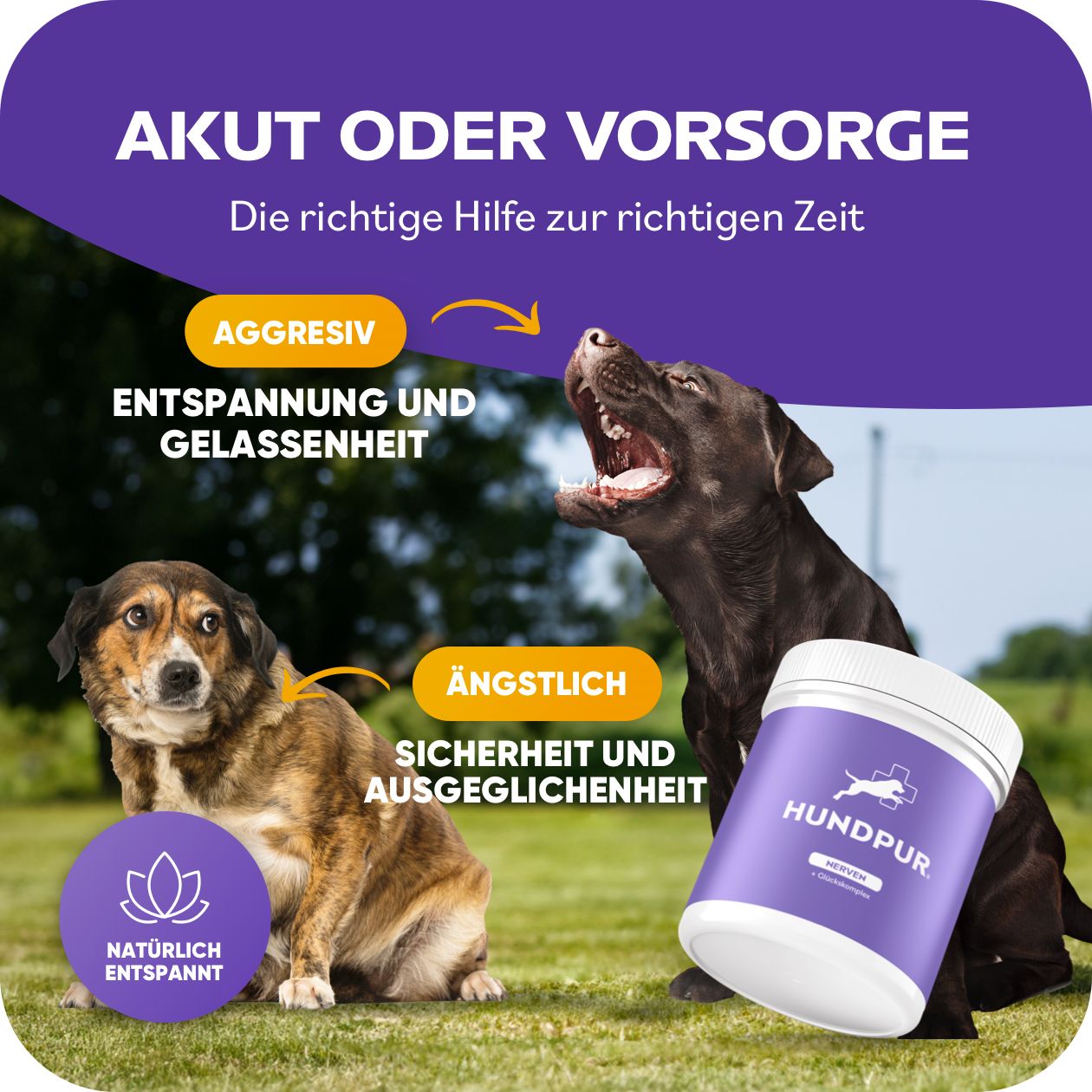 HUNDPUR® NERVEN MIT GLÜCKSKOMPLEX