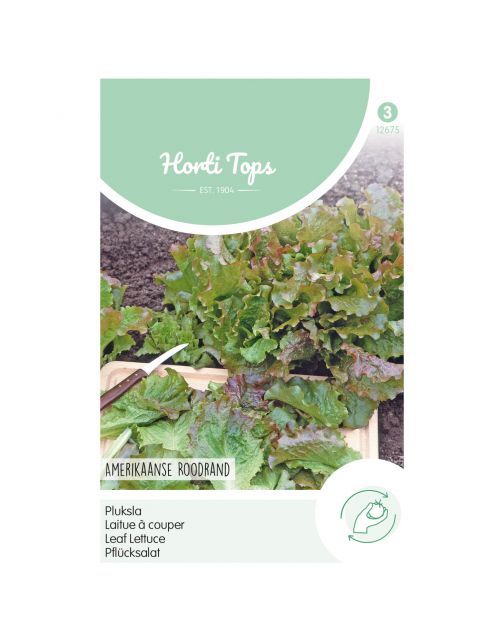 Hortitops Pluksla Amerikaanse Roodrand - Groentezaden - 10 g